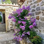 Appartement Fuente Santa